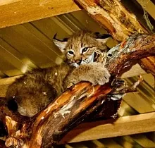 ополнительное фото тура 