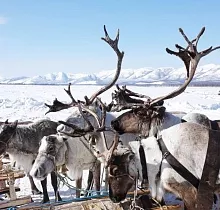 ополнительное фото тура 