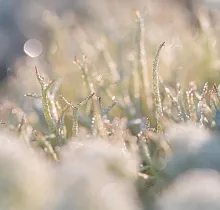 ополнительное фото тура 