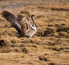 ополнительное фото тура 