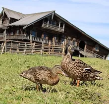 ополнительное фото тура 