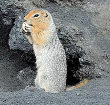 ополнительное фото тура 