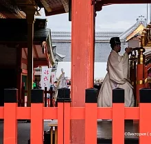 Фото дня 9 тура ПОЛНЫЙ ТУР ПО ЯПОНИИ 15 ДНЕЙ