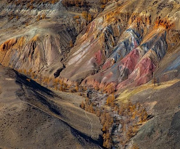 Изображение статьи Фотопутешествие на Горный Алтай из Москвы, золотая осень, 7 дней. Личный опыт Туры России