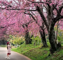 ополнительное фото тура 