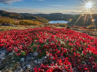 Осень в Териберке