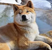 ополнительное фото тура 