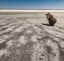 ополнительное фото тура 