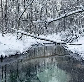Тур Зимний СПЛАВ по реке Илеть!