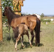 ополнительное фото тура 