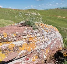 ополнительное фото тура 