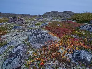 Осень в Териберке