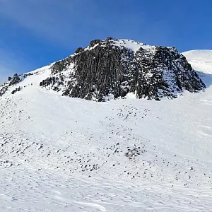 Фото отзыва