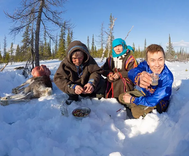 Изображение статьи Еда оленеводов Ямала – сырое мясо  Туры России