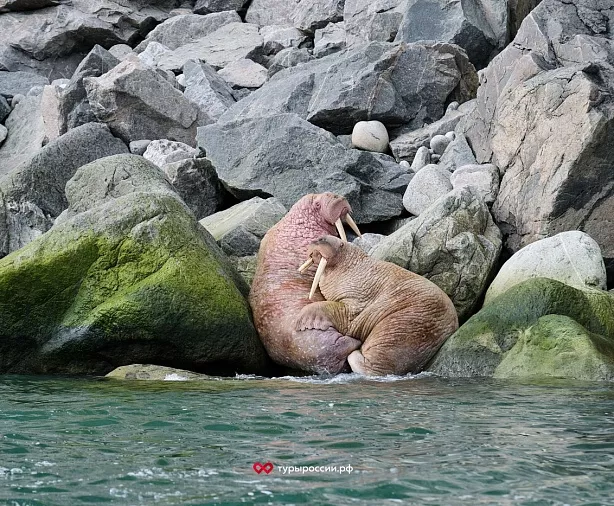 Изображение статьи Отдых на Чукотке: как добраться, где жить, что посмотреть Туры России
