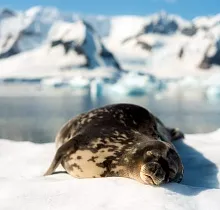 ополнительное фото тура 