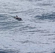 ополнительное фото тура 