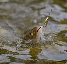 ополнительное фото тура 