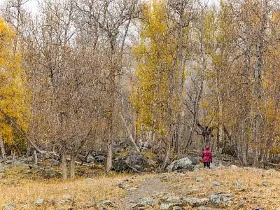Осень на Алтае