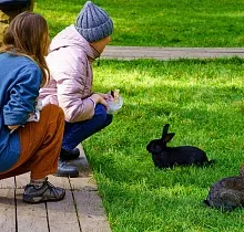 ополнительное фото тура 