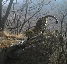 ополнительное фото тура 