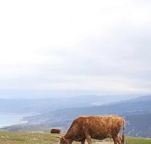 ополнительное фото тура 