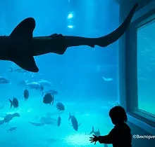 Фото дня 13 тура ПОЛНЫЙ ТУР ПО ЯПОНИИ 15 ДНЕЙ