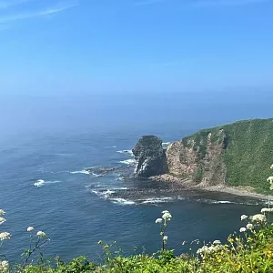 Фото отзыва