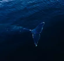 ополнительное фото тура 