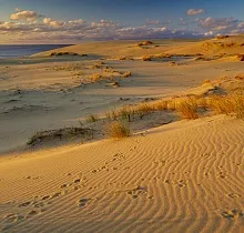 ополнительное фото тура 