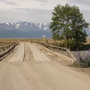 Фото отзыва