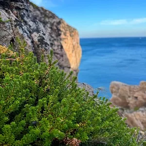 Фото отзыва