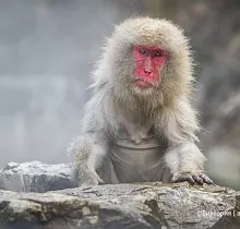 Фото дня 5 тура ПОЛНЫЙ ТУР ПО ЯПОНИИ 15 ДНЕЙ