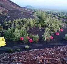 ополнительное фото тура 