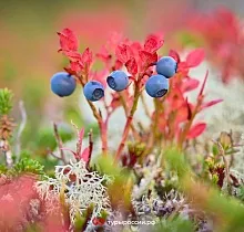 ополнительное фото тура 