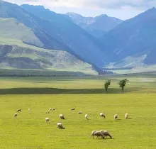 ополнительное фото тура 