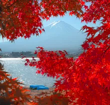 ополнительное фото тура 