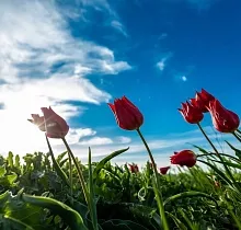 ополнительное фото тура 