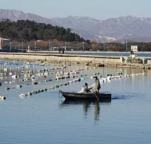 ополнительное фото тура 