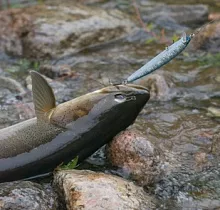 ополнительное фото тура 