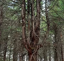 ополнительное фото тура 