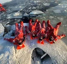 ополнительное фото тура 