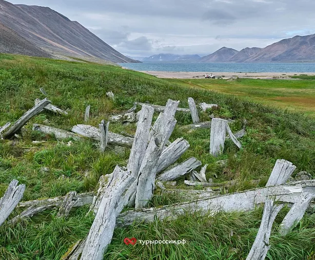 Изображение статьи Национальный парк «Берингия» — как добраться, где жить, что посмотреть Туры России