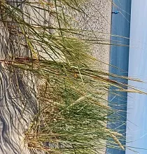 ополнительное фото тура 