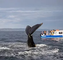 ополнительное фото тура 