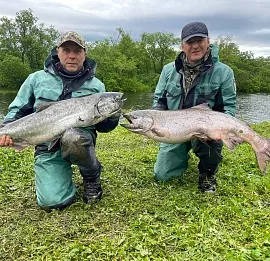 Тур Рыбалка на Камчатке на Чавычу!
