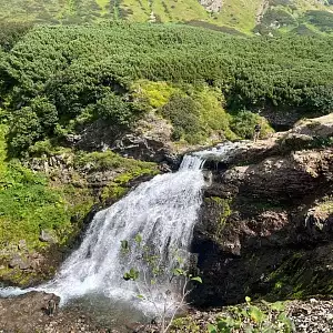 Фото отзыва