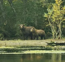 ополнительное фото тура 