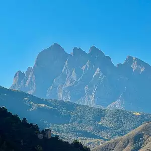 Фото отзыва
