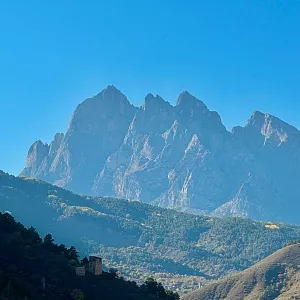 Фото отзыва